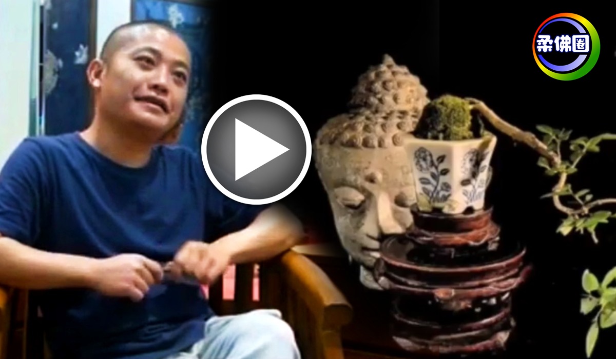 造型设计师  巧手打造袖珍盆景