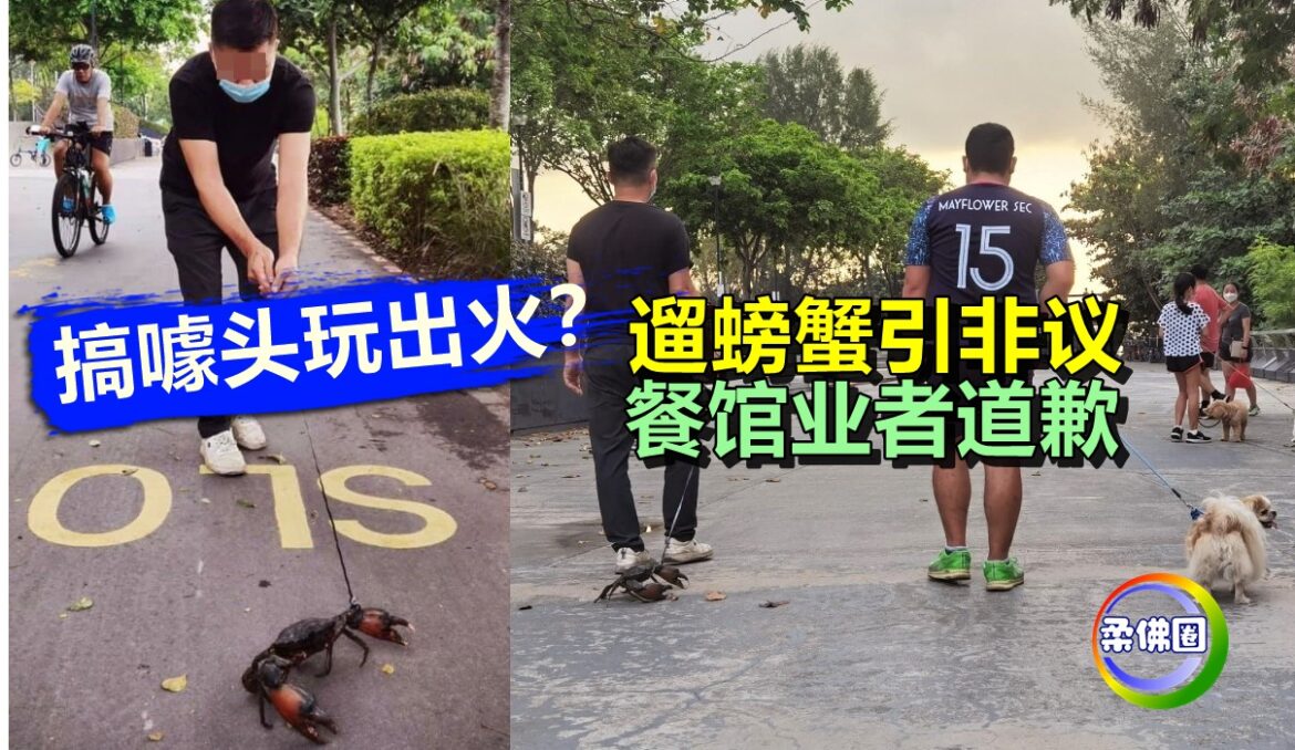 搞噱头玩出火？  遛螃蟹引反弹  餐馆业者道歉  指螃蟹已放生