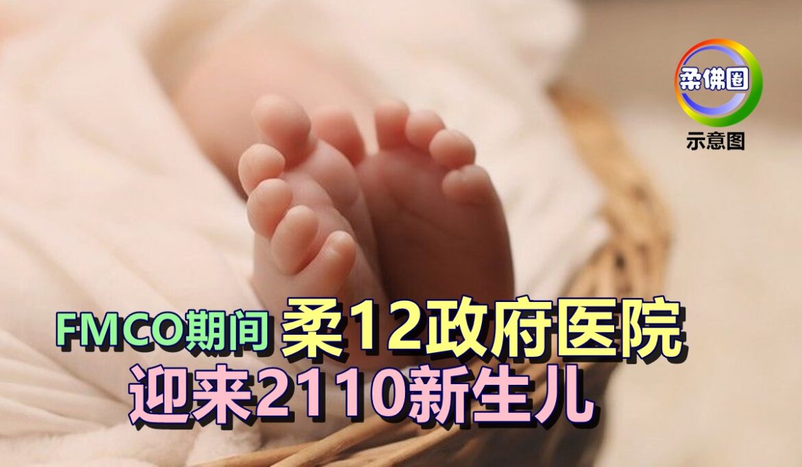 FMCO期间   柔12政府医院    迎来2110新生儿