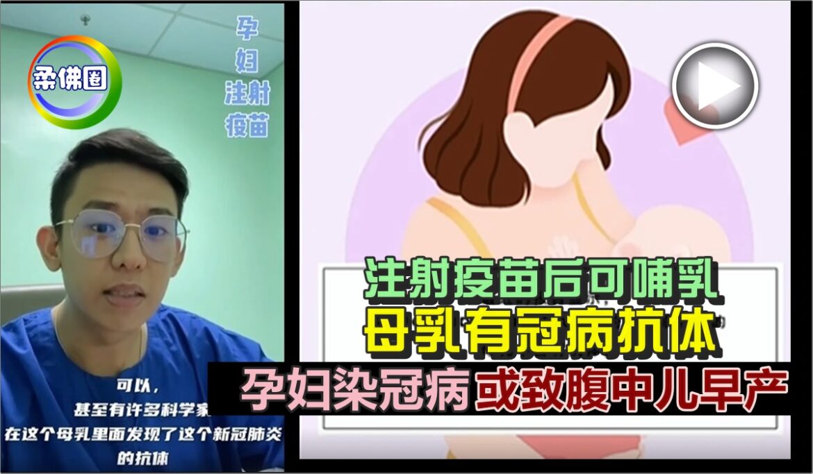 注射疫苗后可哺乳   母乳有冠病抗体   孕妇染冠病或致腹中儿早产