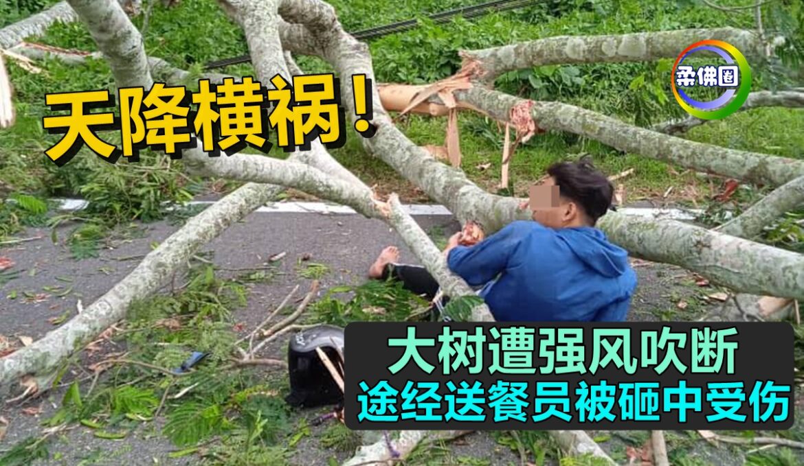 天降横祸！大树遭强风吹断   途经送餐员被砸中受伤