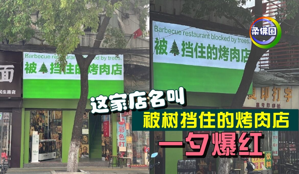 这家店名叫 “被树挡住的烤肉店”    一夕爆红！