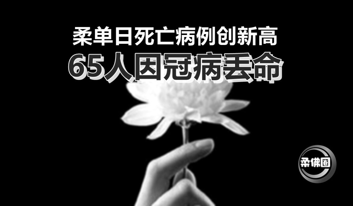 柔单日死亡病例创新高   65人因冠病丢命