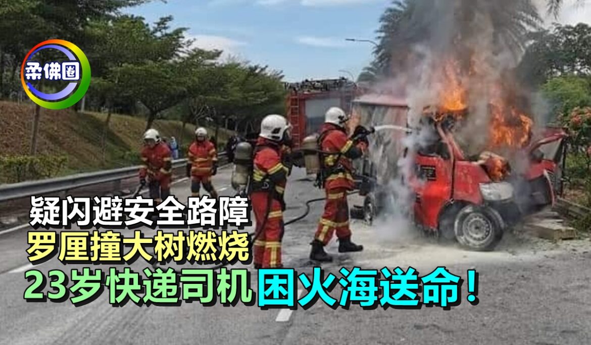 疑闪避安全路障  罗厘撞大树燃烧   23岁快递司机困火海送命！