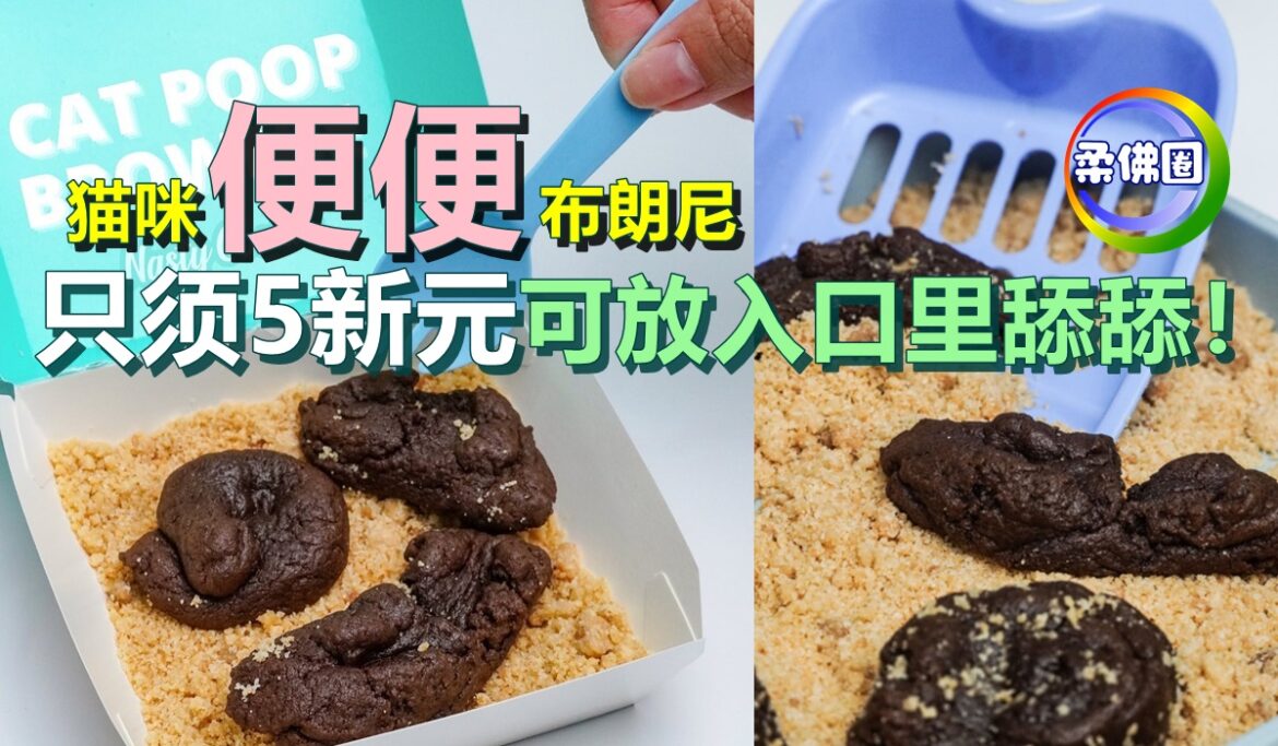 猫咪“便便”布朗尼   只须5新元   可放入口里舔舔！