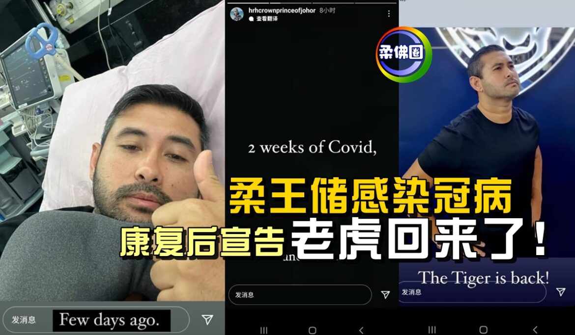 柔王储感染冠病    康复后宣告“老虎回来了！”