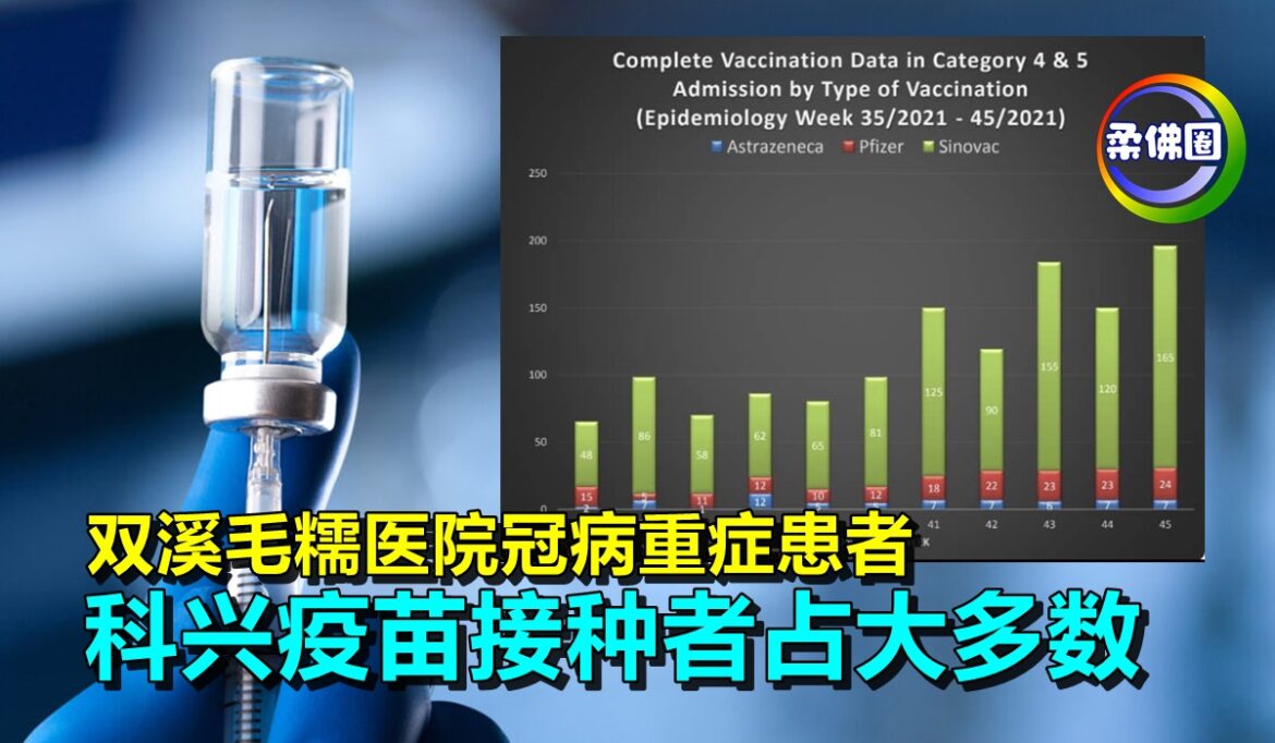 双溪毛糯医院冠病重症患者   科兴疫苗接种者占大多数