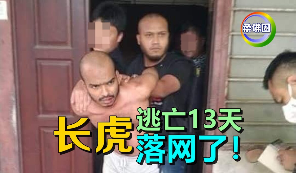 “长虎”逃亡13天   落网了！