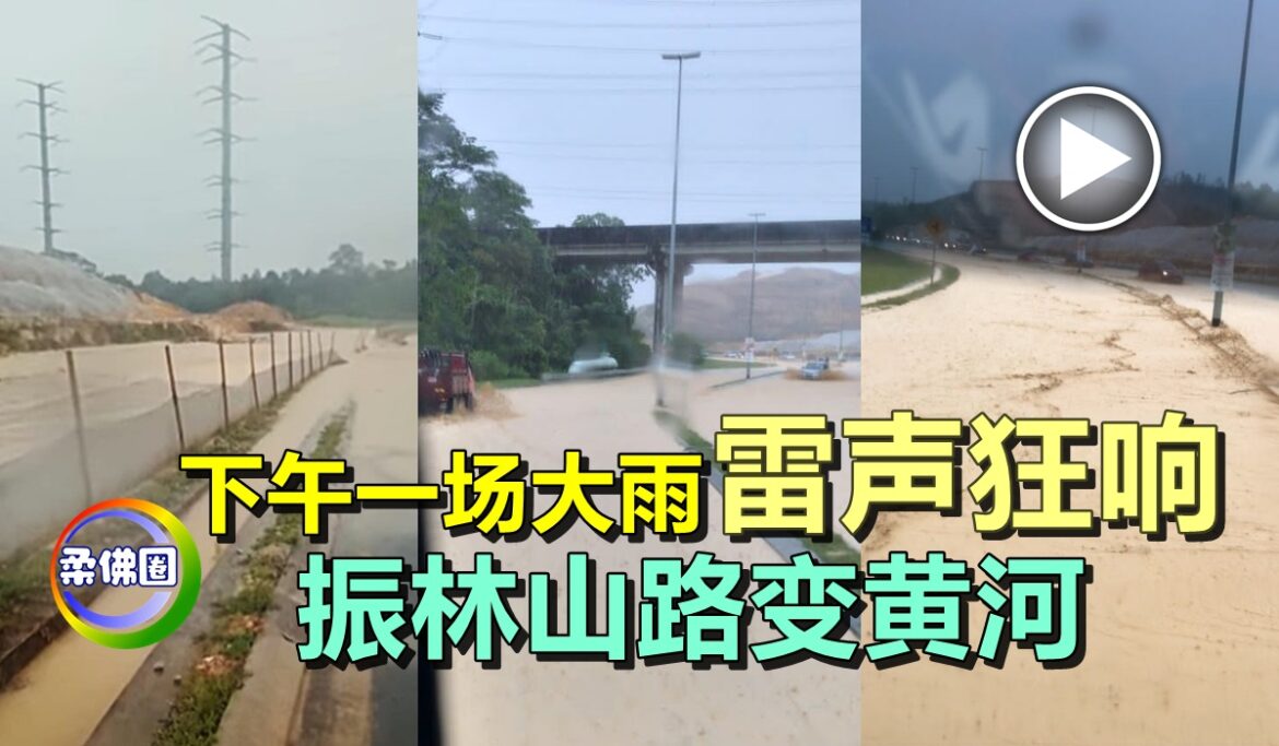 下午一场大雨   雷声狂响    振林山路变黄河