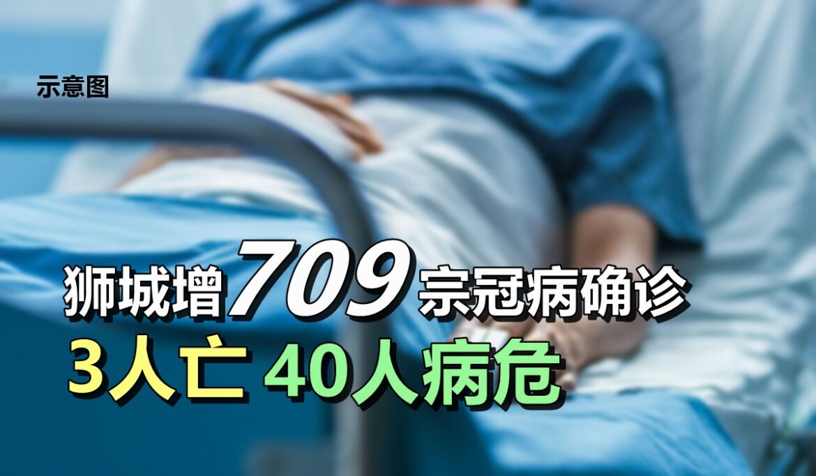 狮城增709宗冠病确诊  3人亡40人病危