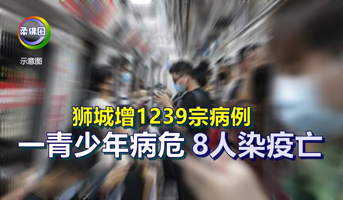 狮城增1239宗病例  一青少年病危   8人染疫亡