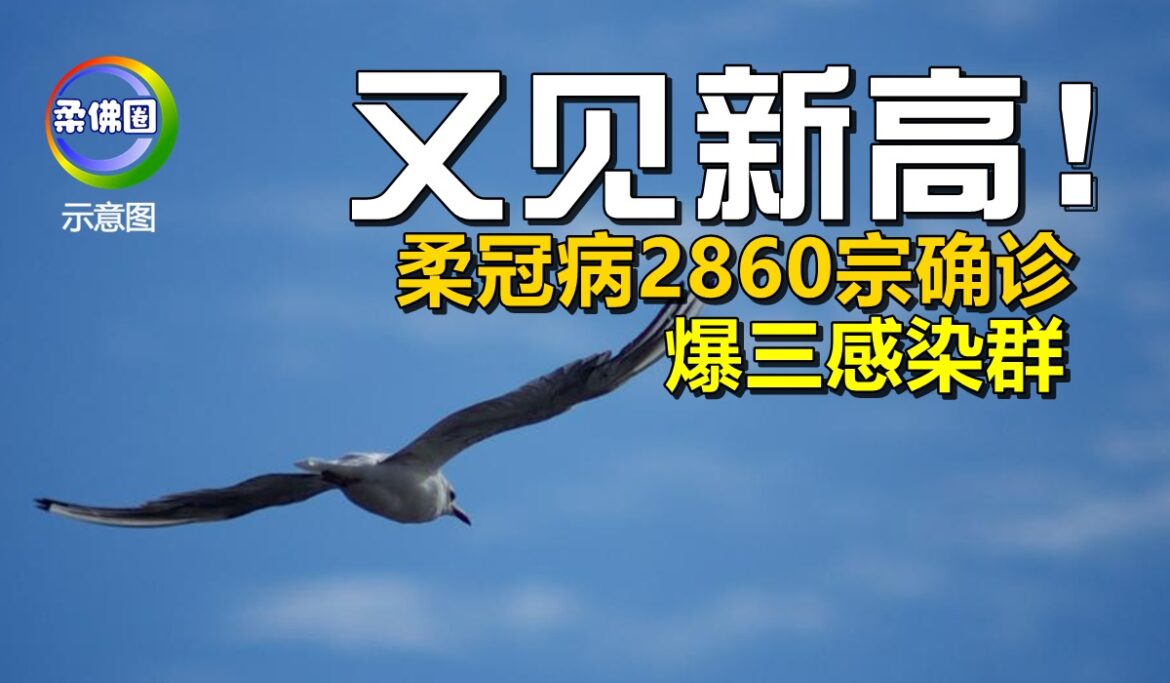 又见新高！柔冠病2860宗确诊   爆三感染群