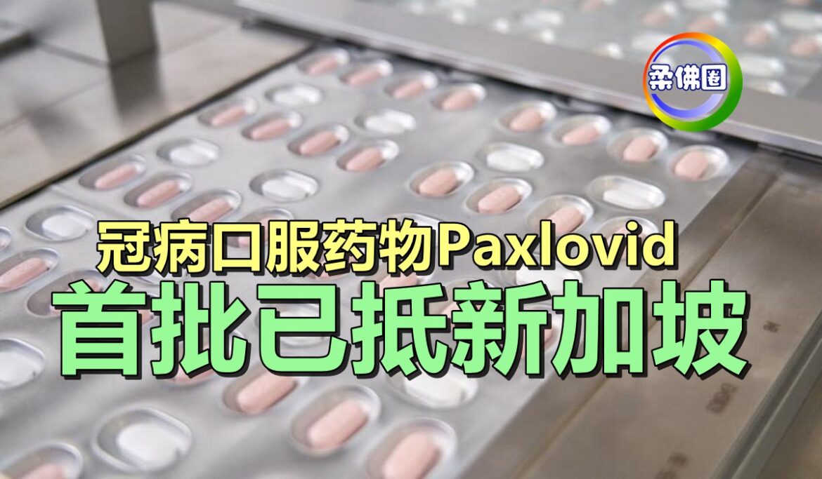 冠病口服药物Paxlovid   首批已抵新加坡