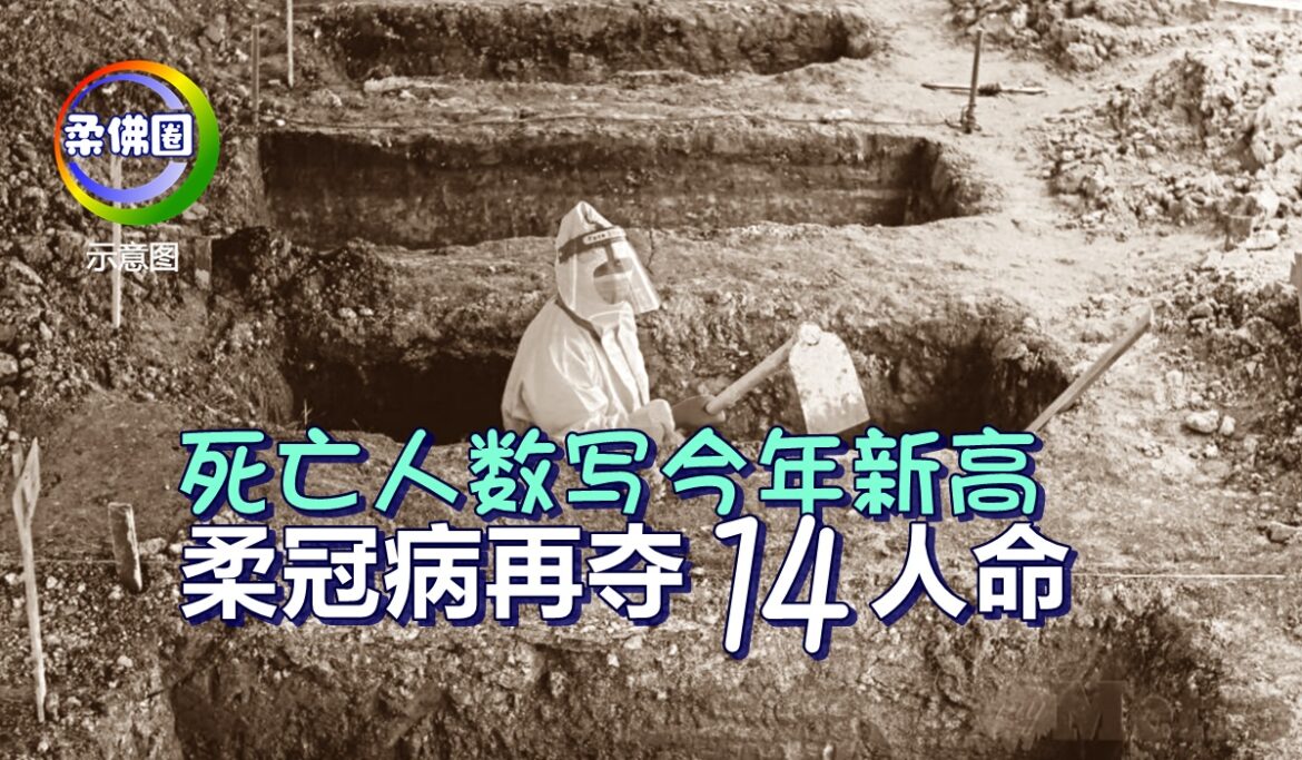 死亡人数写今年新高   柔冠病再夺14人命