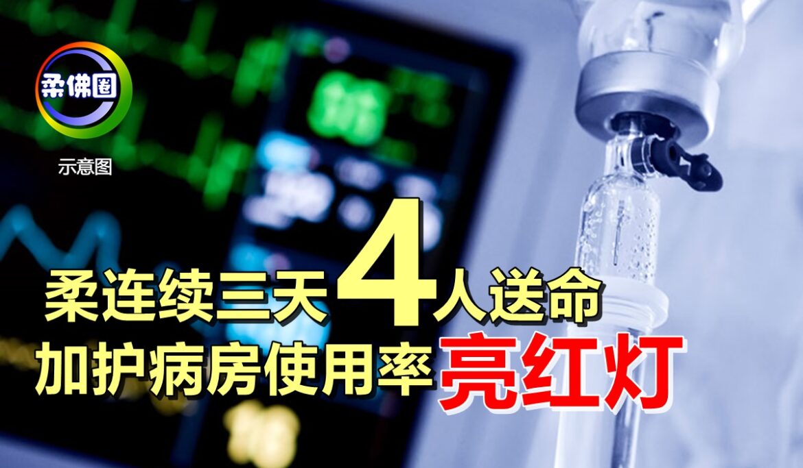 柔连续三天4人送命   加护病房使用率“亮红灯”