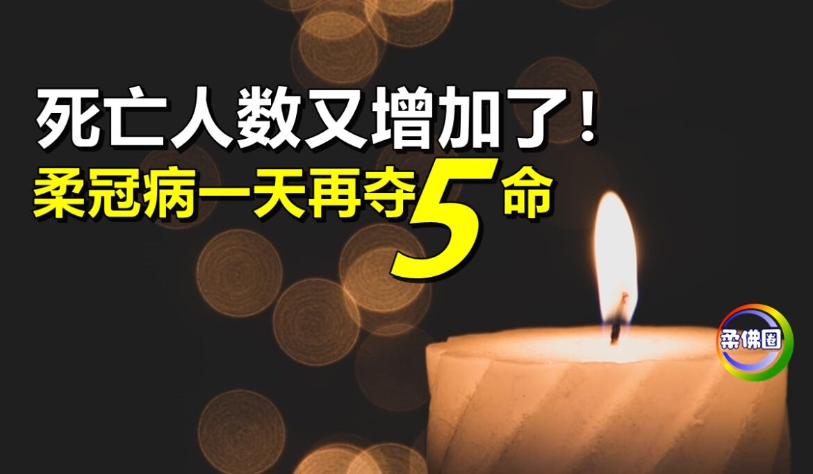 死亡人数又增加了！柔冠病一天再夺5命