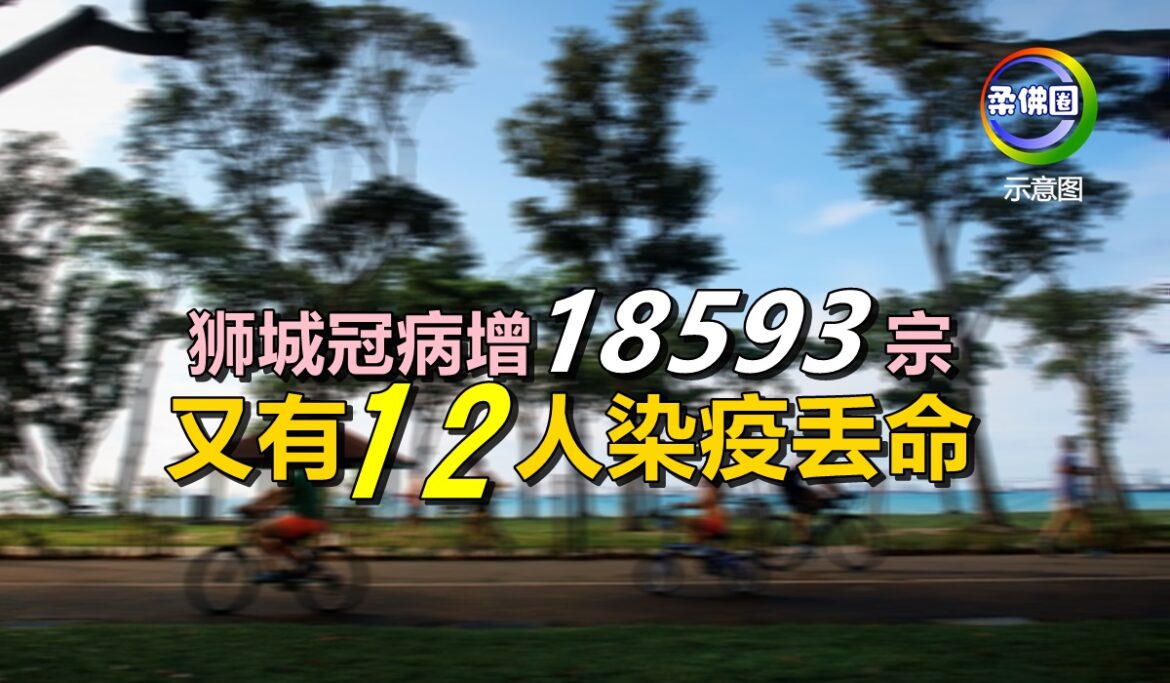 狮城冠病增1万8593宗   又有12人染疫丢命