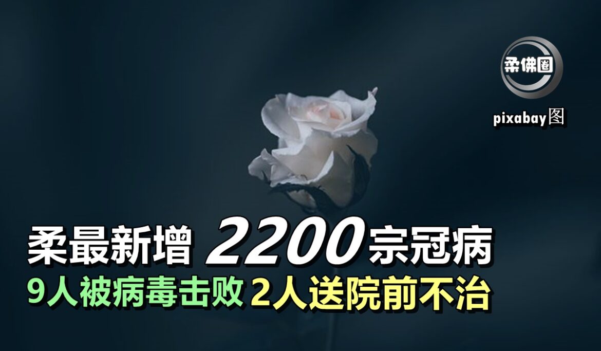 柔最新增2200宗冠病   9人被病毒击败  2人送院前不治