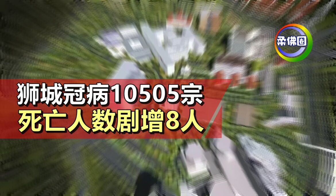 狮城冠病10505宗    死亡人数剧增8人