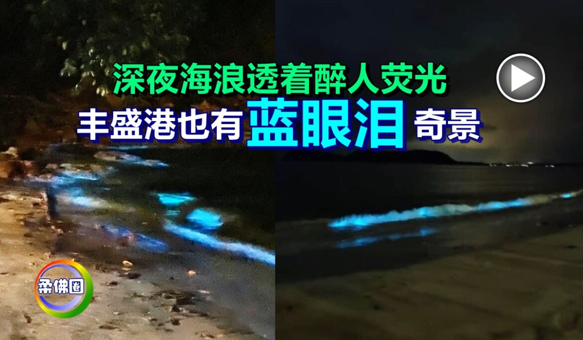 深夜海浪透着醉人荧光   丰盛港也有“蓝眼泪”奇景