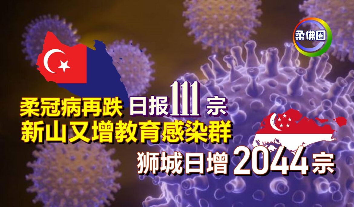 柔冠病再跌日报111宗  新山又增教育感染群    狮城冠病日增2044宗