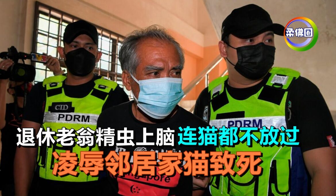 退休老翁精虫上脑   连猫都不放过  凌辱邻居家猫致死