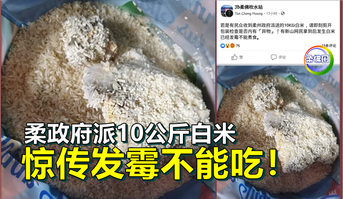 柔政府派10公斤白米   惊传发霉不能吃！