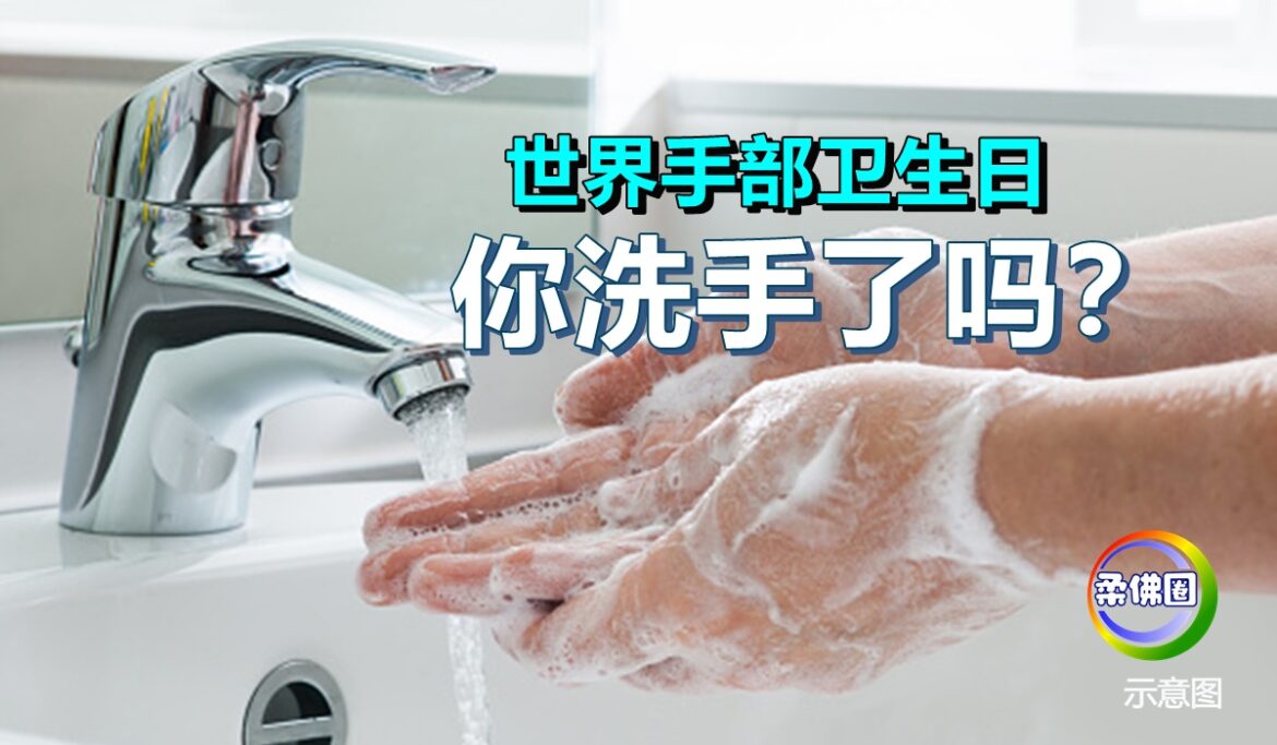 世界手部卫生日  你洗手了吗？
