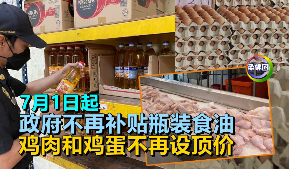 7月1日起   政府不再补贴瓶装食油   鸡肉和鸡蛋不再设顶价