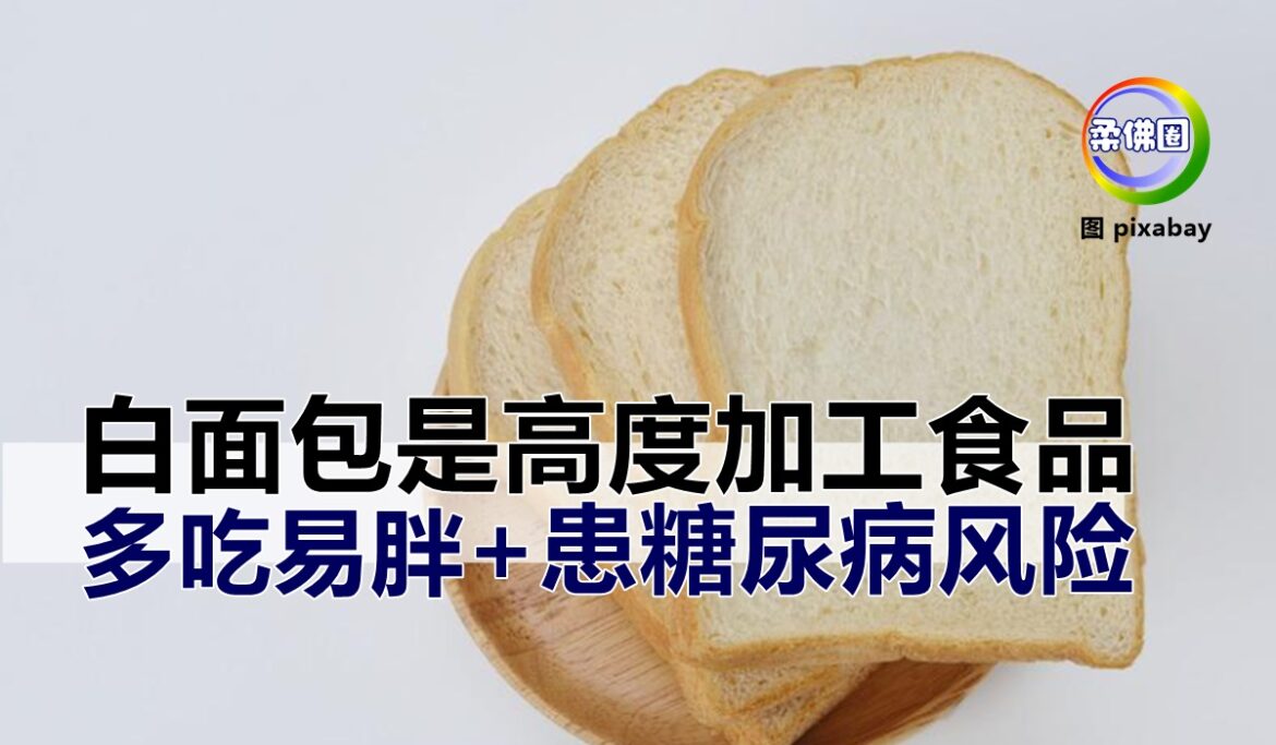 白面包是高度加工食品  多吃易胖  甚至患糖尿病风险