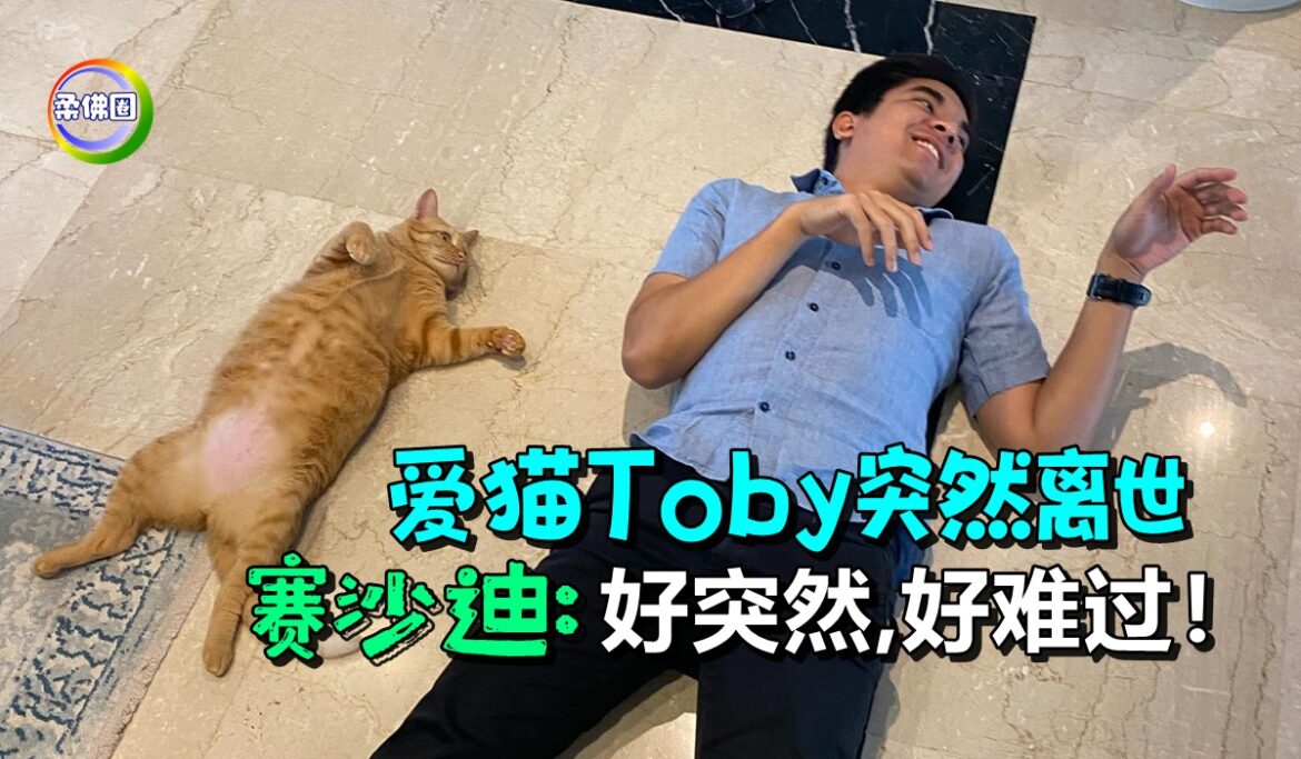 爱猫Toby突然离世   赛沙迪：好突然,好难过！