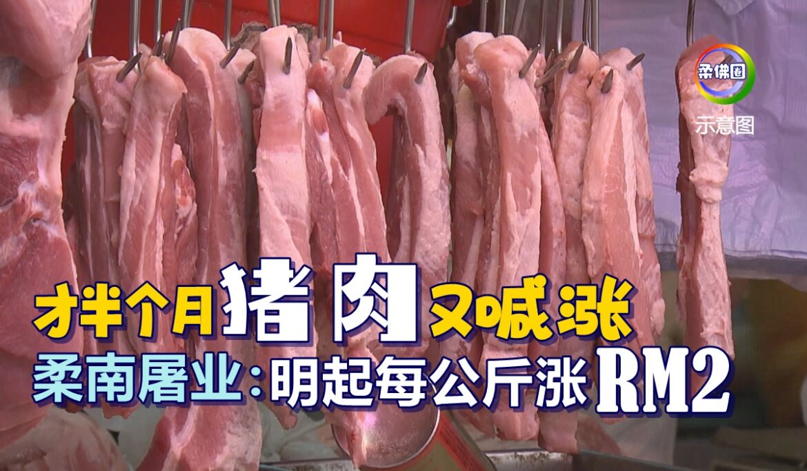 才半个月猪肉又喊涨   柔南屠业：明起每公斤涨RM2