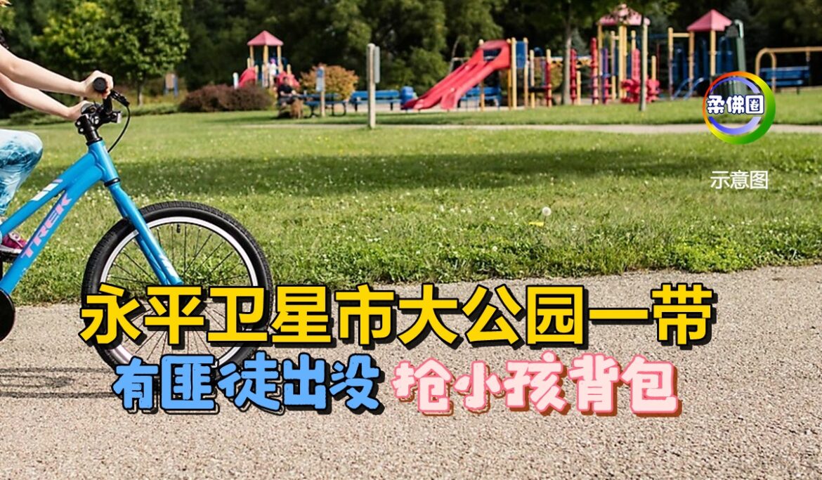 永平卫星市大公园一带   有匪徒出没抢小孩背包