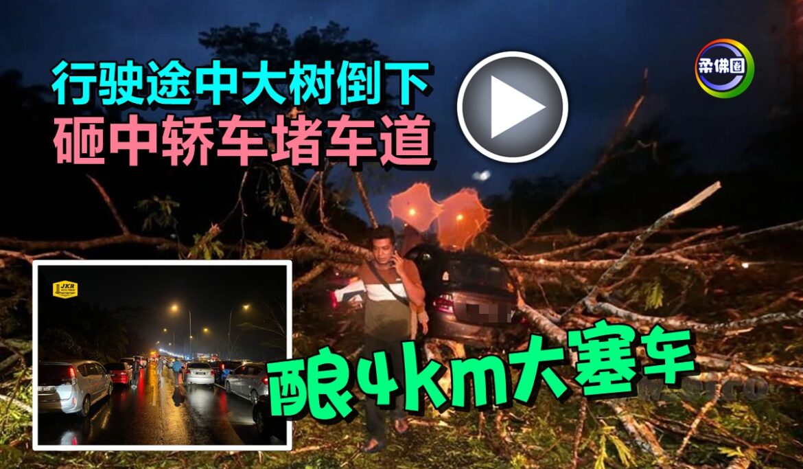 行驶途中大树倒下  砸中轿车堵车道   酿4km大塞车