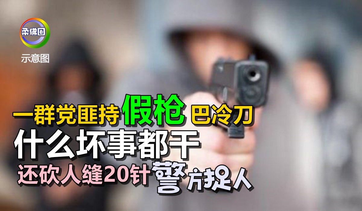 一群党匪持假枪巴冷刀 什么坏事都干 还砍人缝20针 警方捉人 - 柔佛圈