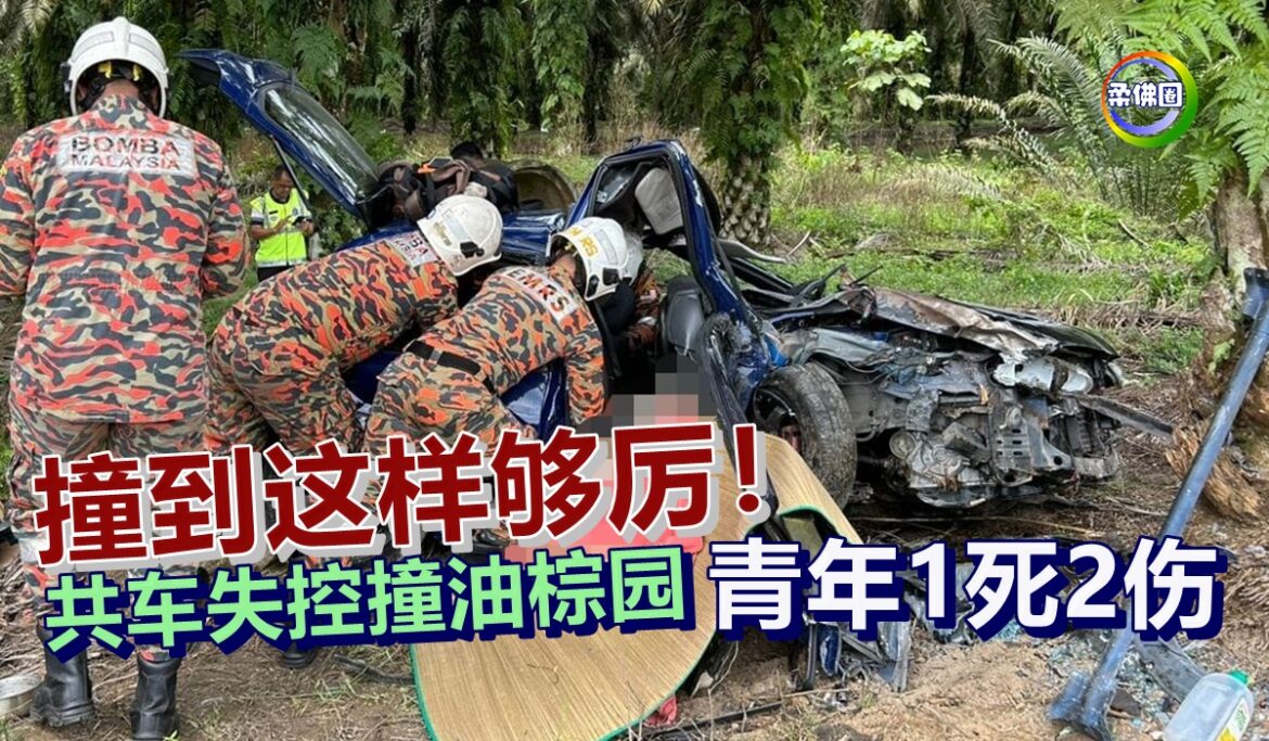撞到这样够厉！共车失控撞油棕园   青年1死2伤