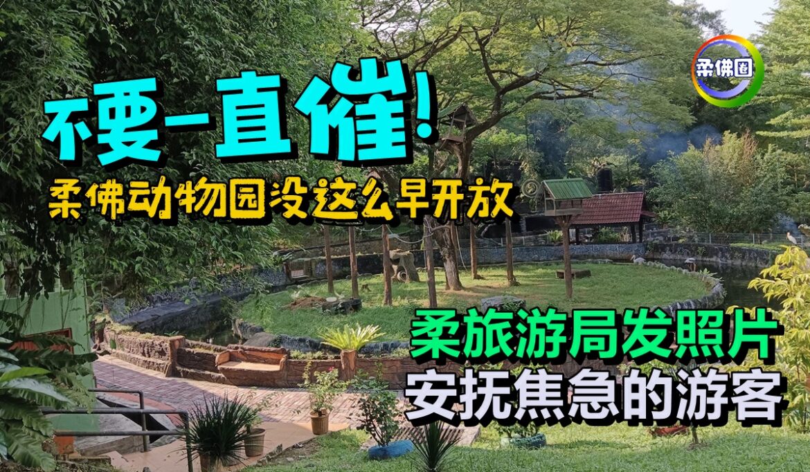 不要一直催！柔佛动物园没这么早开放  柔旅游局发照片  安抚焦急的游客