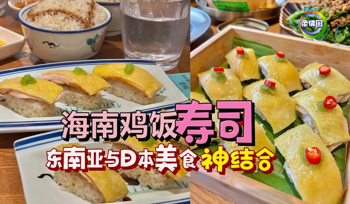 东南亚与日本美食神结合！海南鸡饭寿司  醋饭变成油饭   芥末变姜葱酱