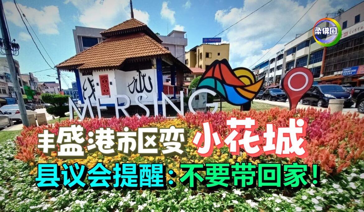 丰盛港市区变“小花城”    县议会提醒：不要带回家！