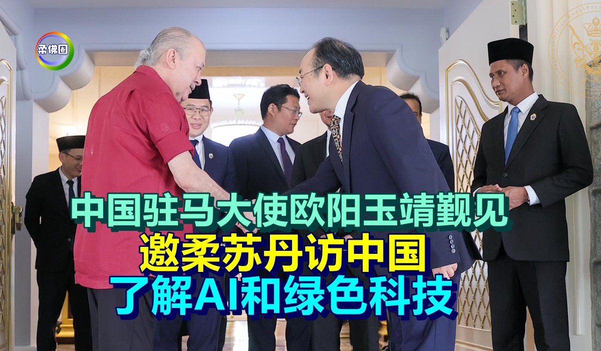 中国驻马大使欧阳玉靖觐见 邀柔苏丹访中国 了解AI和绿色科技 - 柔佛圈