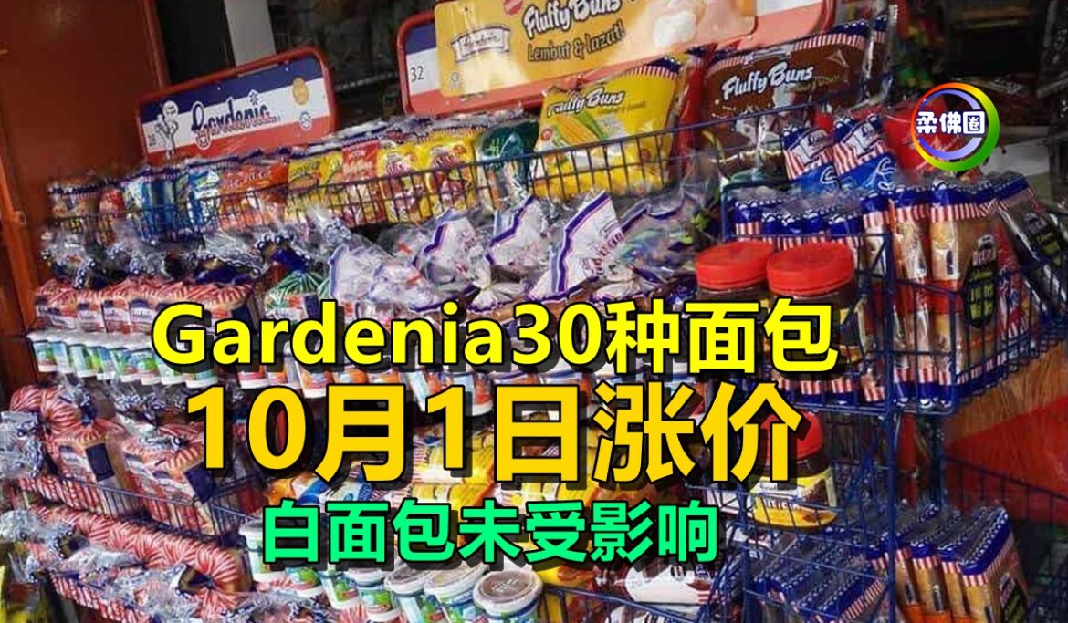 Gardenia30种面包  10月1日涨价  白面包未受影响