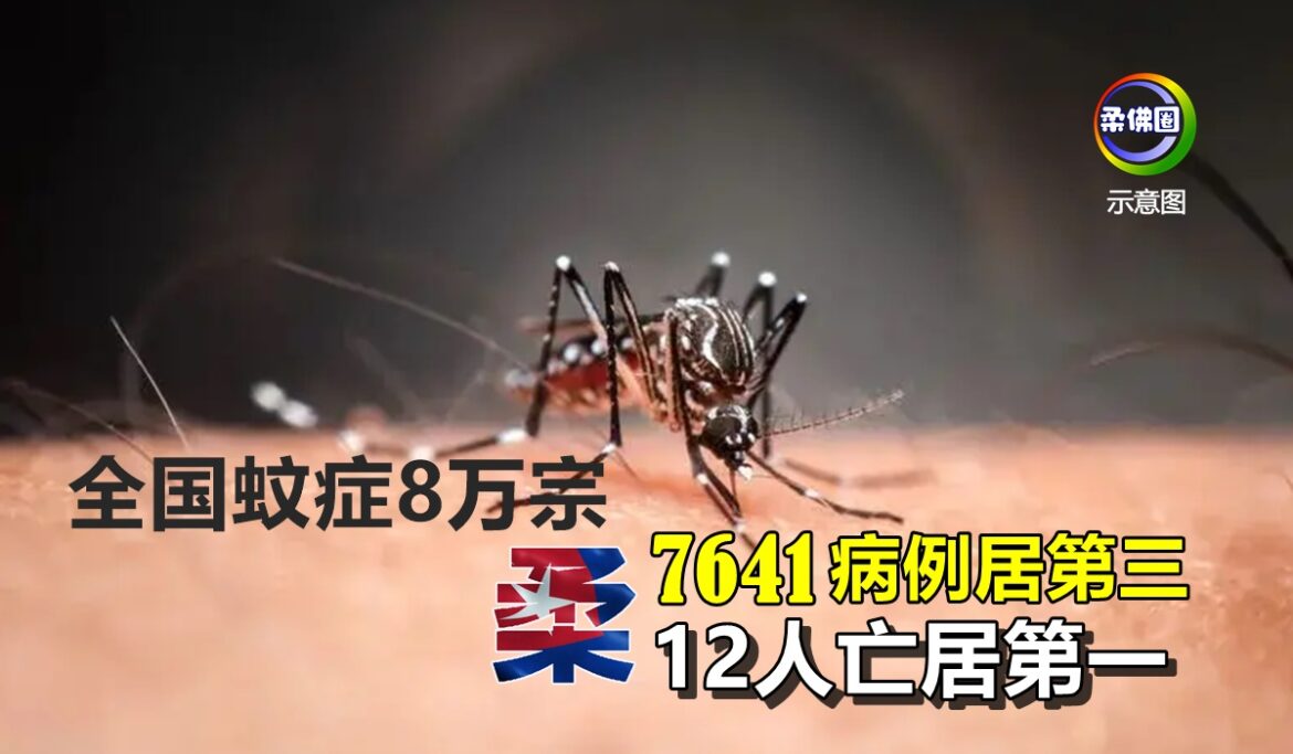 全国蚊症8万宗   柔7641病例居第三   12人亡居第一