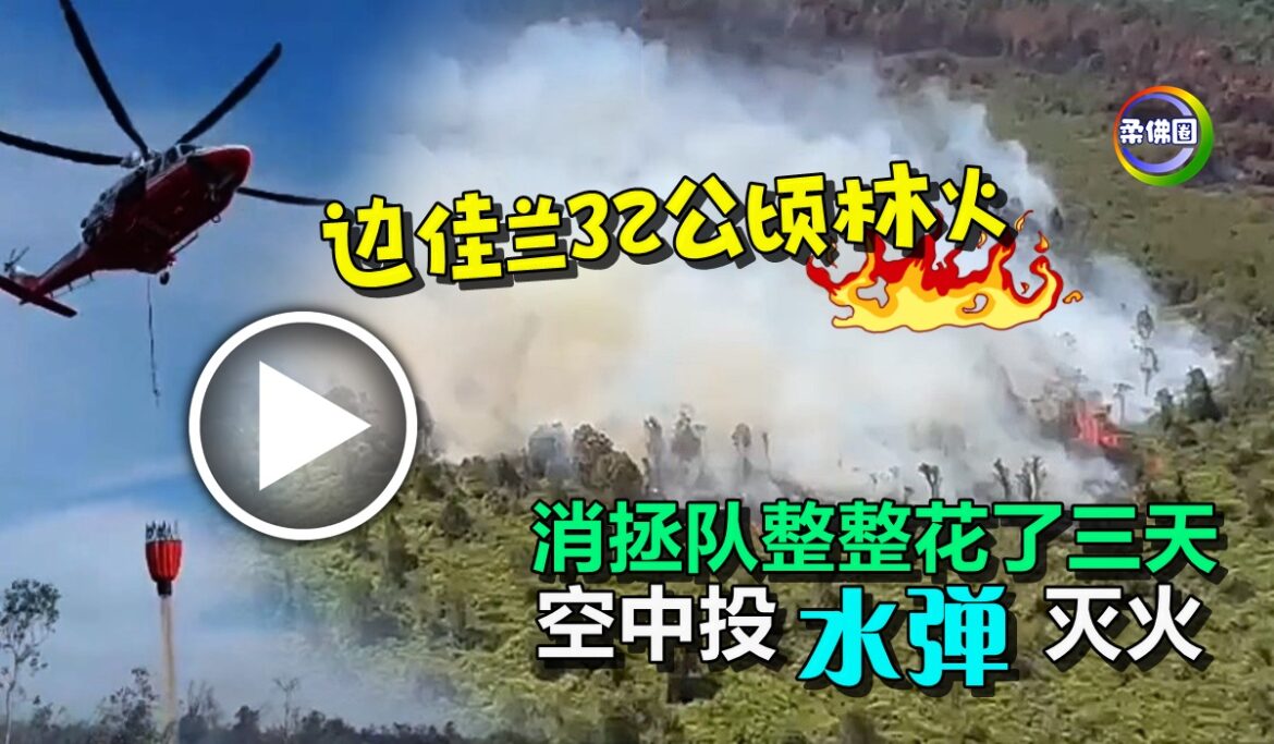 边佳兰32公顷林火   消拯队整整花了三天   空中“投水弹”灭火