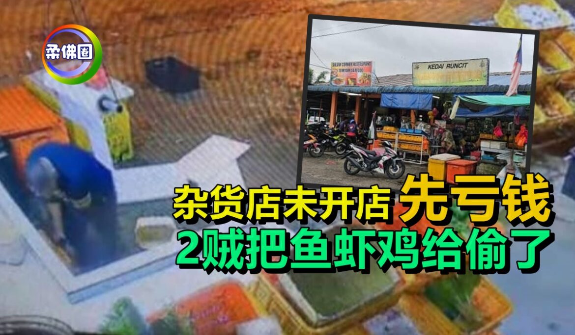 杂货店未开店  先亏钱   2贼把鱼虾鸡给偷了