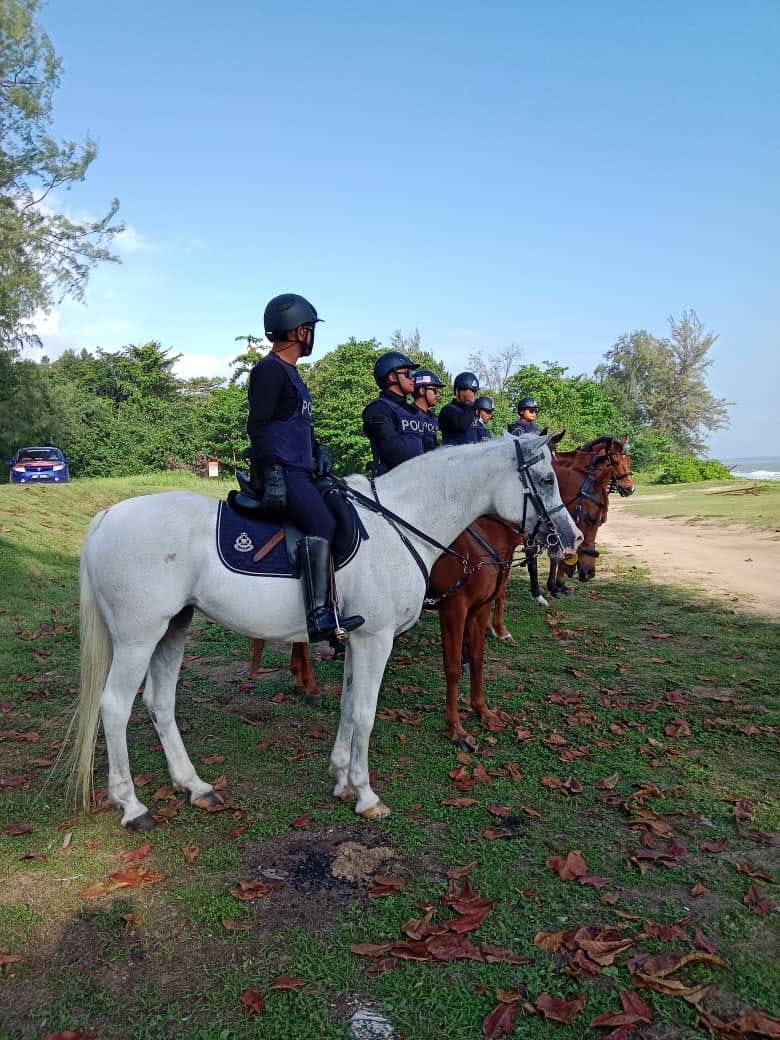 ■六匹马一字排开，还有一匹白马，威风凛凛。