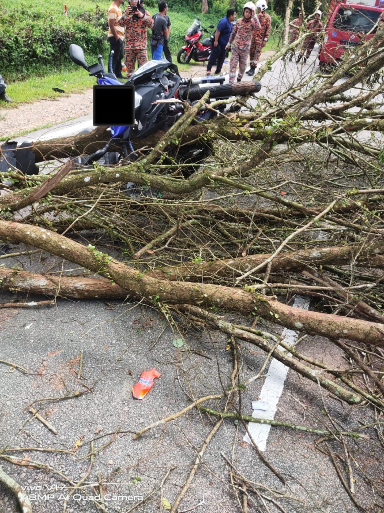 ■摩哆骑士骑行途中,被倒下的大树压倒。(图:bomba)