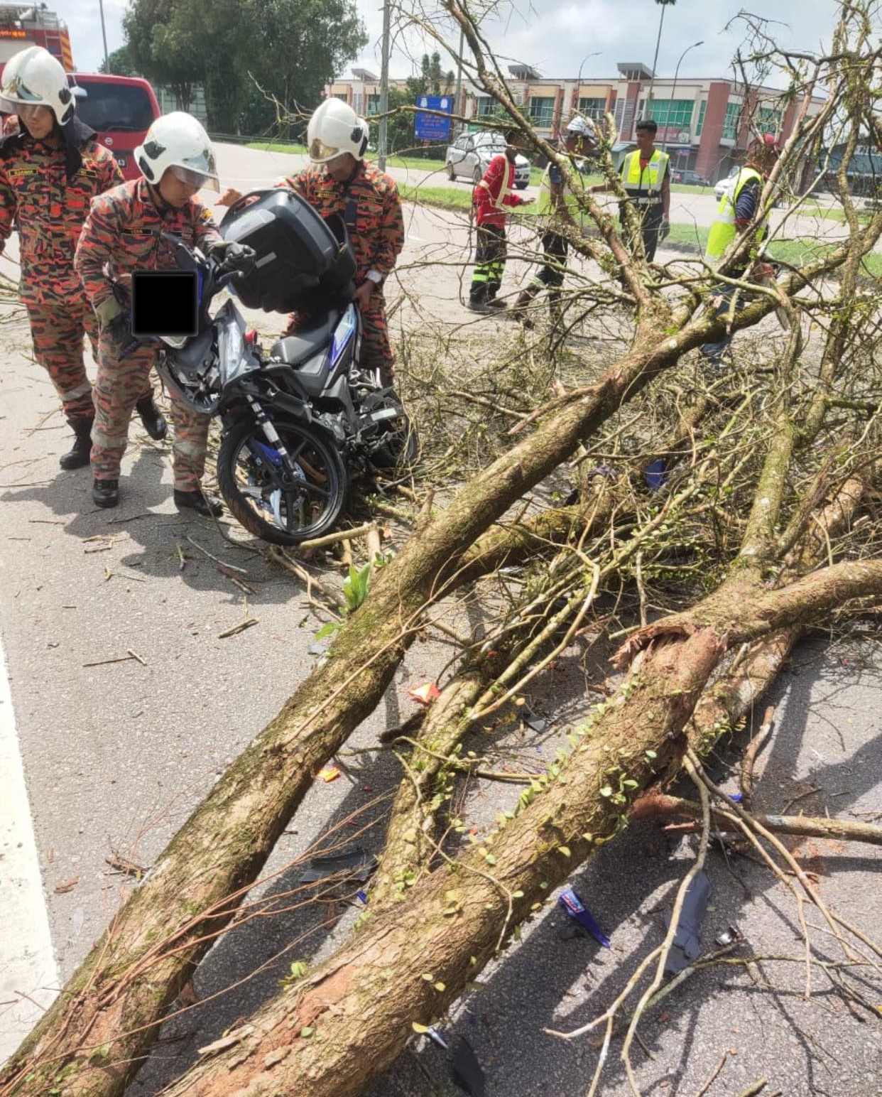 ■摩哆骑士骑行途中,被倒下的大树压倒。(图:bomba)