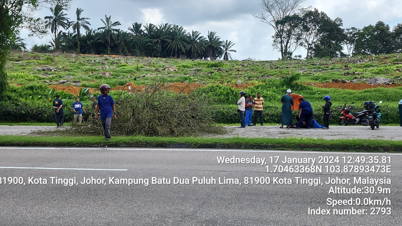 ■摩哆骑士骑行途中,被倒下的大树压倒。(图:bomba)