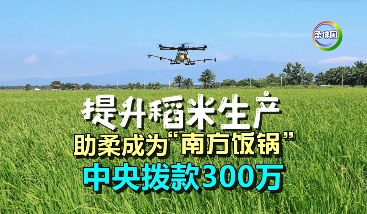 提升稻米生产   助柔成为“南方饭锅”   中央拨款300万