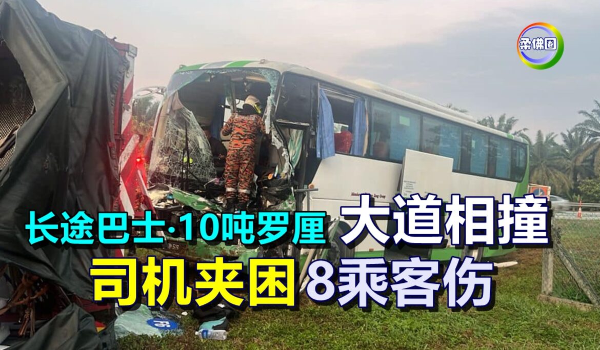长途巴士与10吨罗厘  大道相撞  司机夹困  8乘客伤